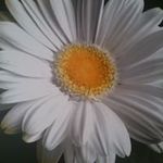 Inge Reichmann - @ingereichmann - Instagram
