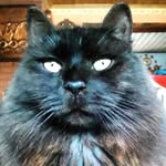 Inge-Lize Richter - @richteringelize - Instagram