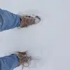 inge.richter70 - @inge.richter - TikTok
