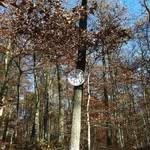 Inge Monschauer - @ingemonschauer - Instagram