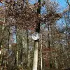 Inge Monschauer - @inge.monschauer - TikTok