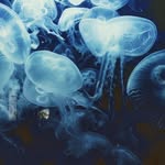 Inge Schauer - @inge_schauer - Instagram