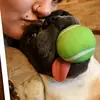 Inge Schauer - @inke1709 - TikTok