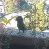 Ingeborg Schauer - @ingeborg.schauer - TikTok
