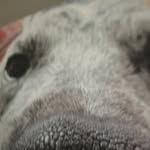 Inge Schmitt - @ingeschmitt30 - Instagram