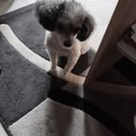 Inge Schmittchen - @ingeschmittchen - Instagram
