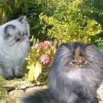Inge Schneider - @inge.schneider.520 - Instagram