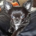 Inge Schneider - @inge.schneider - Instagram