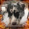 Inge Schneider - @inge.schneider63 - TikTok