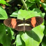Inge Schneider - @ingiiiiiiiiiiiiiiii - Instagram