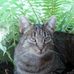 Inge Scholz - Facebook