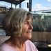 Inge Scholz - Facebook