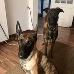 Inge Scholz - @scholzi68 - Instagram