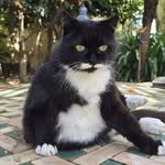 Inge Schroeder - @ingeschroeder - Instagram
