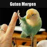 Inge Schroeder - @schroederinge285 - Instagram