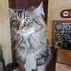 ingeschroeder7 - @ingeschroeder7 - TikTok