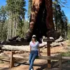 ingeschroeder_ - @ingeschroeder_ - TikTok