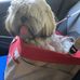 Inge Schwartz - Facebook