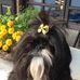 Inge Simon - Facebook