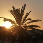 Inge Simon - @balubaghira - Instagram