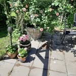 Inge Sørensen - @bygaden65 - Instagram