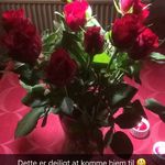 Inge sørensen - @ingesrensen - Instagram