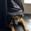 user9102918076680 - @ingespang - TikTok