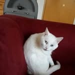 Inge Stark - @inge.stark.12 - Instagram
