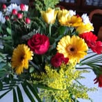 Inger Strand - Facebook