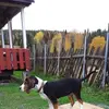 Inger Strand - @inger.strand - TikTok