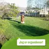 ingestrand861 - @ingestrand861 - TikTok