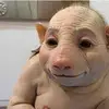 Inge Ulrich - @inge.ulrich - TikTok