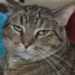 Inge Wagner - @inge.wagner.7 - Instagram