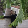Inge Wagner - @0 - TikTok