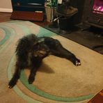 Inger Wilkinson - Facebook