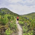 Inge Williamson - @ingewilliamson - Instagram
