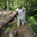 Ingeborg Green - @jannai522023 - Instagram