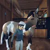 ingeborg Rivervalley - @t.mp16 - TikTok
