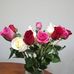 Ingeborg Nesmith - Facebook