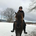 Ingeborg Solberg Bekken - @eq.ingeborg - Instagram