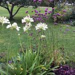Ingeborg Solberg Lyftingsmo - @lyftingsmoingeborgsolberg - Instagram