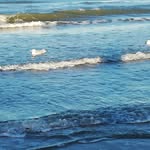 Inger Andersen - @inger.andersen.397 - Instagram