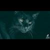 user1991663105742 - @mingerblack - TikTok