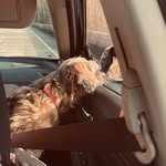 ginger campbell - @gingerspicecampbell - Instagram