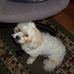 Inger Campbell - Facebook