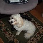 Inger Campbell - @campbellingerrusty123 - Instagram