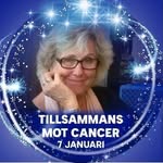 Inger Carlsson - @ingerc33 - Instagram