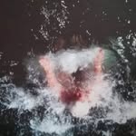 Inger Carlsson - @ingercarlsson05 - Instagram