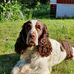 Inger Dale - Facebook
