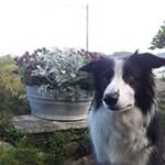 Inger Eide - @eide.inger - Instagram